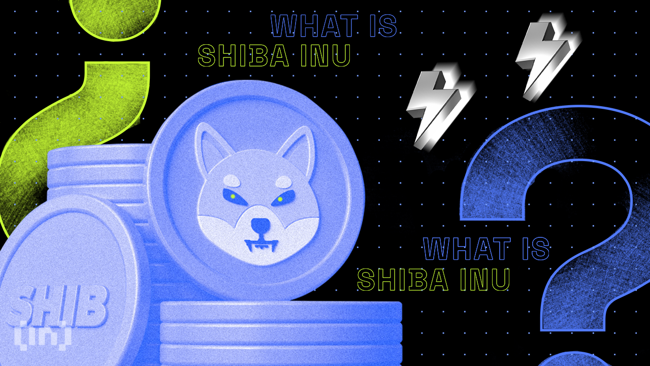Shiba Inu (SHIB) Price Falls by 23% but Are the Bulls Waiting to Stampede?