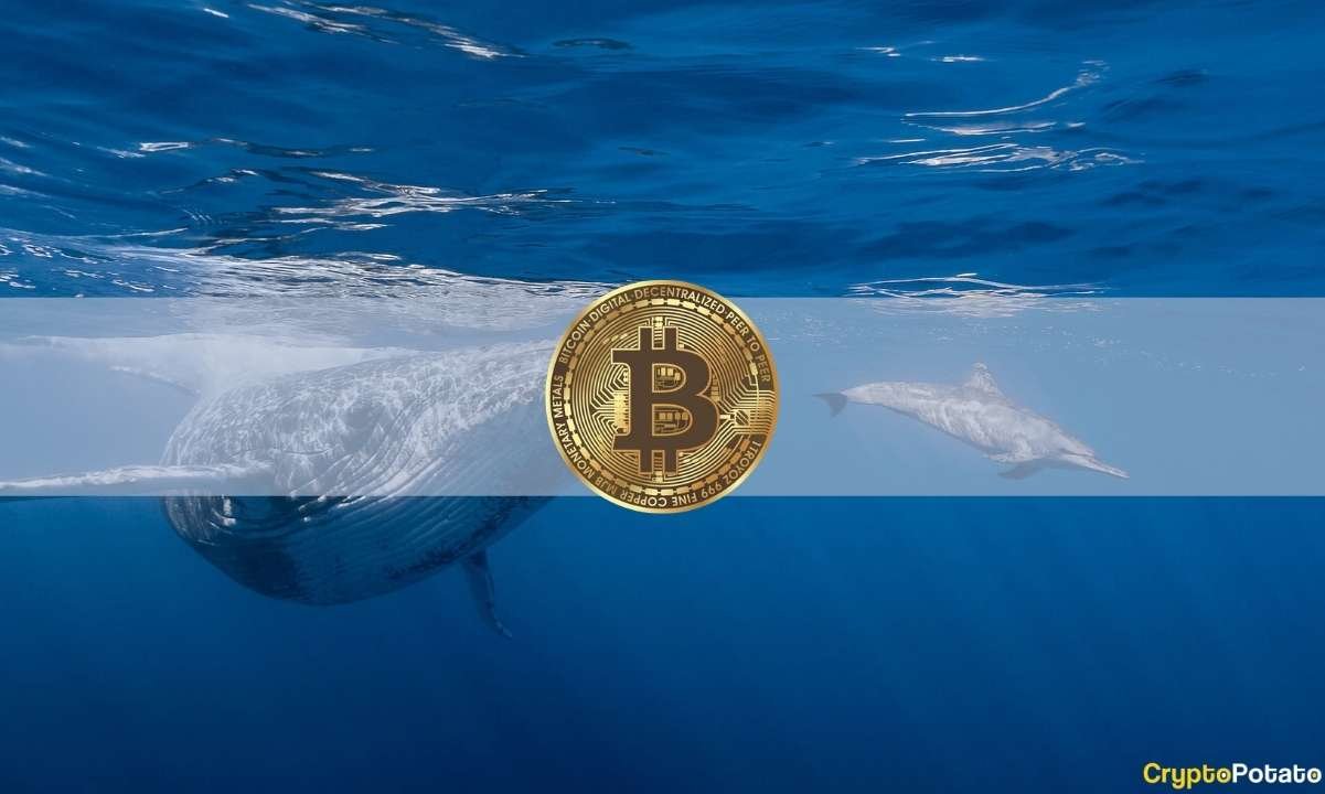 Bitcoin Whale Wakes up After 6 Years to Transfer Over $56M in BTC